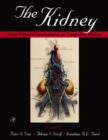 Image for The kidney: from normal development to congenital disease