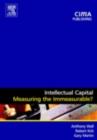 Image for Intellectual Capital: Measuring the Immeasurable?
