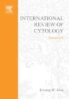 Image for International Review of Cytology. : 210