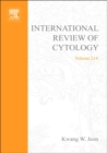 Image for International Review of Cytology. : 214