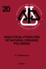 Image for Analytical pyrolysis of natural organic polymers