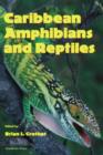 Image for Caribbean Amphibians and Reptiles