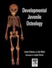 Image for Developmental juvenile osteology