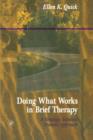 Image for Doing What Works in Brief Therapy: A Strategic Solution Focused Approach
