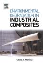 Image for Environmental degradation in industrial composites