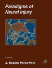 Image for Paradigms of neural injury