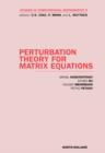 Image for Perturbation theory for matrix equations