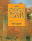 Image for Physiology of woody plants