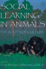 Image for Social learning in animals: the roots of culture