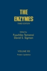 Image for The enzymes