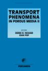 Image for Transport phenomena in porous media II