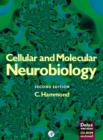 Image for Cellular and Molecular Neurobiology