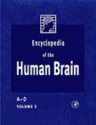 Image for Encyclopedia of the human brain