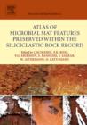 Image for Atlas of microbial mat features preserved within the siliciclastic rock record : 2