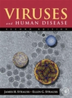 Image for Viruses and human disease