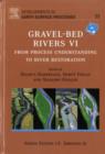 Image for Gravel bed rivers VI: from process understanding to river restoration