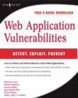 Image for Web application vulnerabilities: detect, exploit, prevent