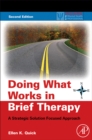 Image for Doing what works in brief therapy: a strategic solution focused approach