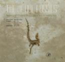 Image for The Jehol fossils: the emergence of feathered dinosaurs, beaked birds and flowering plants