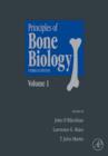 Image for Principles of bone biology.