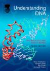 Image for Understanding DNA: the molecule and how it works