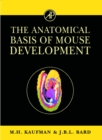 Image for The anatomical basis of mouse development