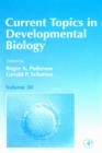 Image for Current Topics in Developmental Biology.: Elsevier Science Inc [distributor],.
