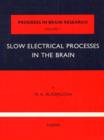 Image for Slow Electrical Processes in the Brain