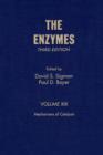 Image for The Enzymes. : v. 19.