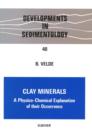 Image for Clay minerals: a physico-chemical explanation of their occurrence.