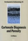 Image for Carbonate Diagenesis and Porosity