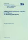Image for Holomorphic Automorphism Groups in Banach Spaces: An Elementary Introduction