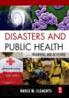 Image for Disasters and public health: planning and response