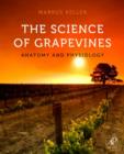 Image for The science of grapevines: anatomy and physiology