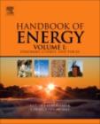 Image for Handbook of energy