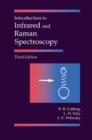 Image for Introduction to infrared and Raman spectroscopy