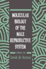 Image for Molecular biology of the male reproductive system