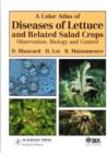 Image for A Color Atlas of Diseases of Lettuce and Related Salad Crops