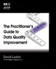 Image for The practitioner&#39;s guide to data quality improvement