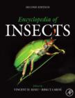 Image for Encyclopedia of insects