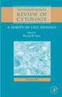 Image for International Review Of Cytology: A Survey of Cell Biology : 262