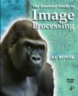 Image for The essential guide to image processing