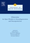 Image for Glaucoma: an open window to neurodegeneration and neuroprotection