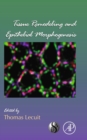 Image for Tissue Remodeling and Epithelial Morphogenesis