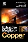 Image for Extractive Metallurgy of Copper