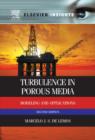 Image for Turbulence in porous media: modeling and applications