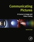 Image for Communicating pictures: a course in image and video coding