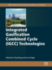Image for Integrated gasification combined cycle (IGCC) technologies