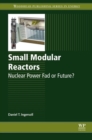 Image for Small modular reactors: nuclear power fad or future?