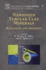 Image for Nanosized tubular clay minerals: halloysite and imogolite